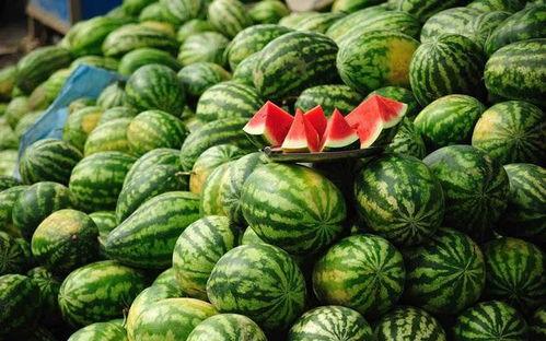 吃瓜吃的少,揭秘吃瓜少者的独特生活