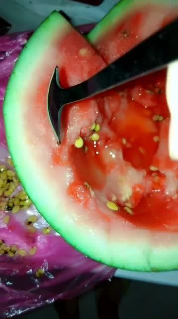 吃瓜不吐籽999,揭秘瓜界奇才的瓜艺人生