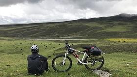 龙井骑行吃瓜,沿途吃瓜,体验别样春日休闲时光