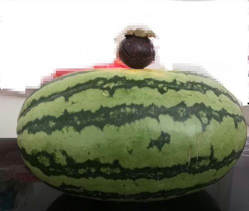 大家客观吃瓜,吃瓜群众眼中的娱乐圈风云录