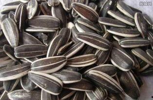 卖瓜变成吃瓜子,从卖瓜到吃瓜子的奇妙转变