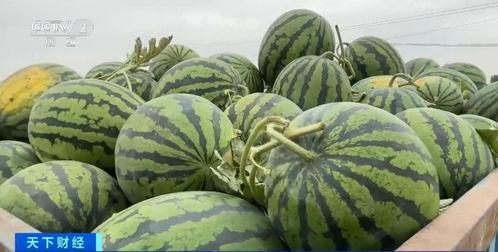 网图吃瓜,揭秘娱乐圈那些不为人知的幕后故事