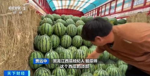 网图吃瓜,揭秘娱乐圈那些不为人知的幕后故事