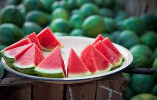 吃瓜吃瓜怎么打出来,揭秘“吃瓜吃瓜”背后的趣味与智慧