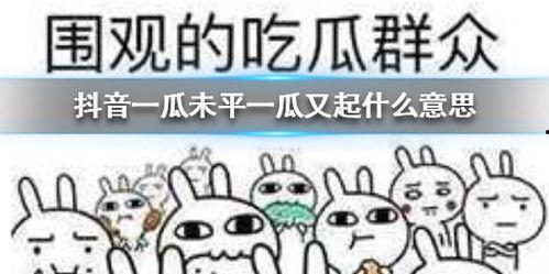 抖音各类吃瓜,揭秘热门事件背后的真相与笑料