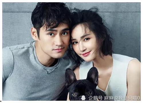 爆料吃瓜明星视频大全