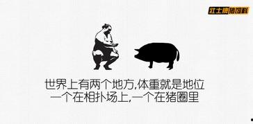 吃瓜吃吐了文案怎么写,揭秘“吃瓜吃吐”背后的真相与反思