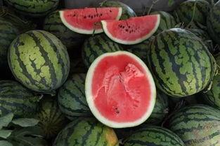 电梯吃瓜被抢瓜,吃瓜群众抢瓜大战