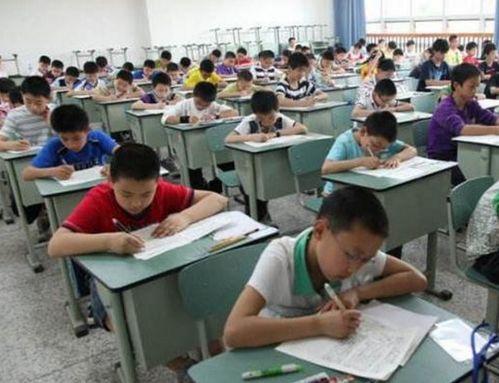 进才中学吃瓜,揭秘校园里的热点话题