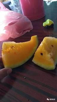 销售跟客户吃瓜,销售与客户共度美好时光