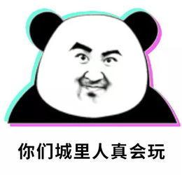 吃瓜遇到小猫,温馨瞬间定格